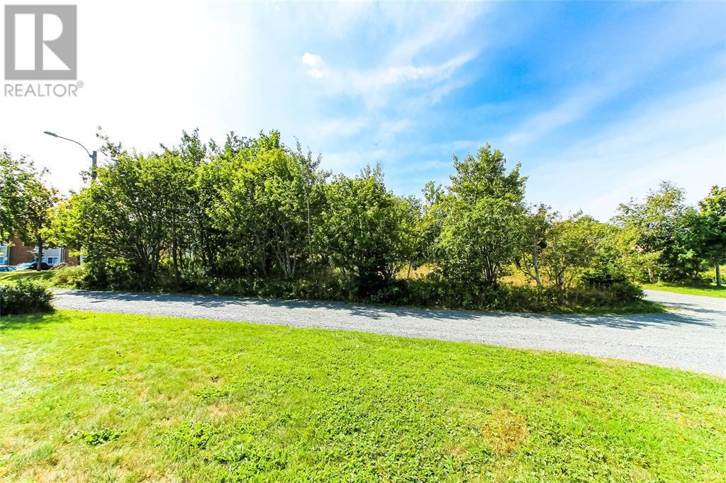 41 Tiffany Lane, St. John's, Newfoundland And Labrador