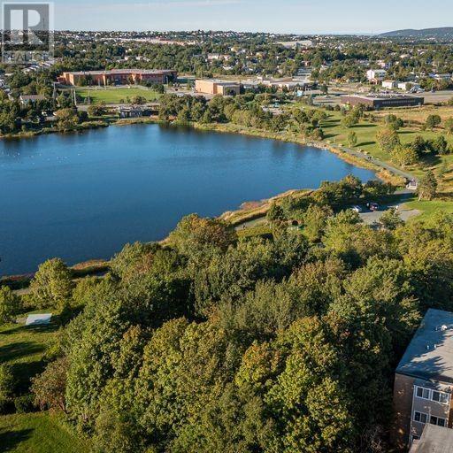 41 Tiffany Lane, St. John's, Newfoundland And Labrador