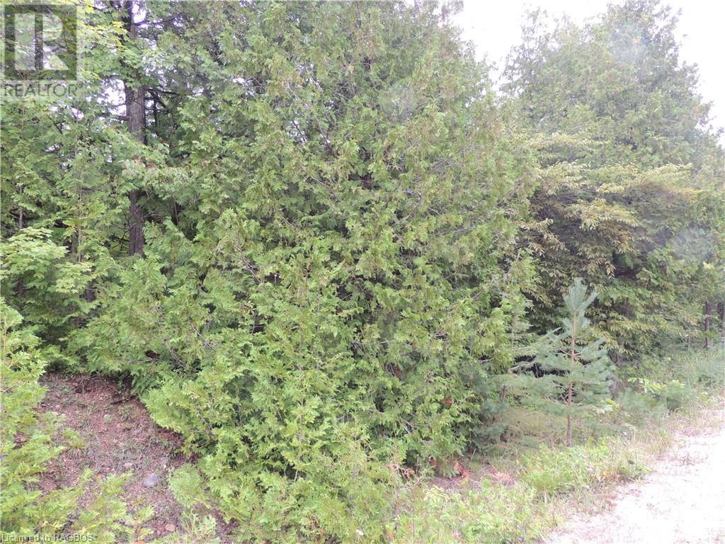 LOT 15 ARTEMESIA GLENELG Townline, West Grey, Ontario