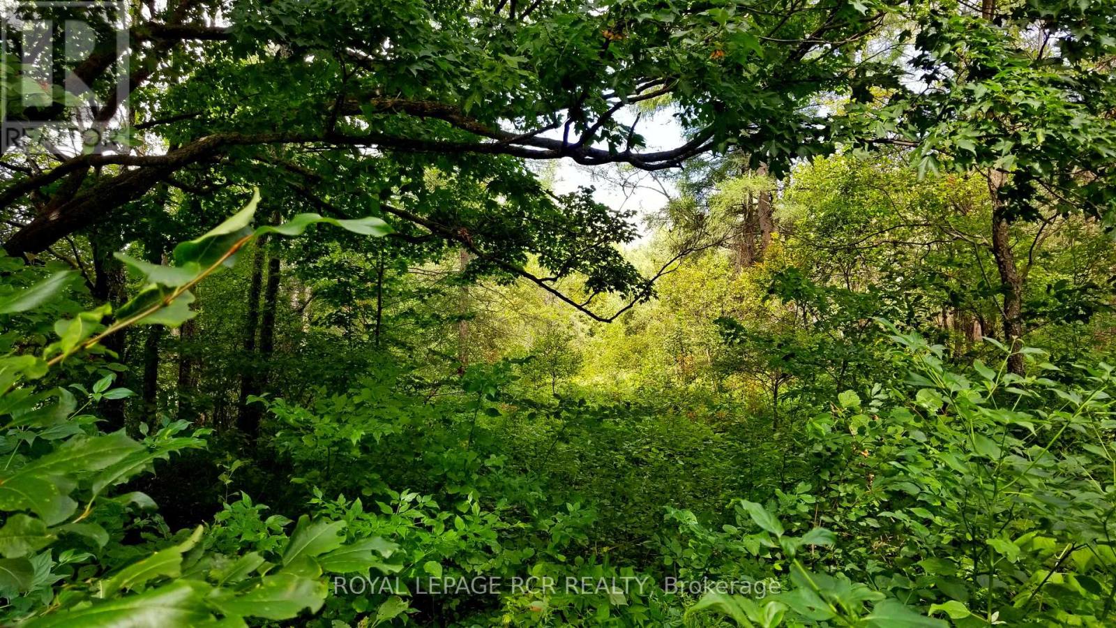 Lot 31 9 County Road, Melancthon, Ontario