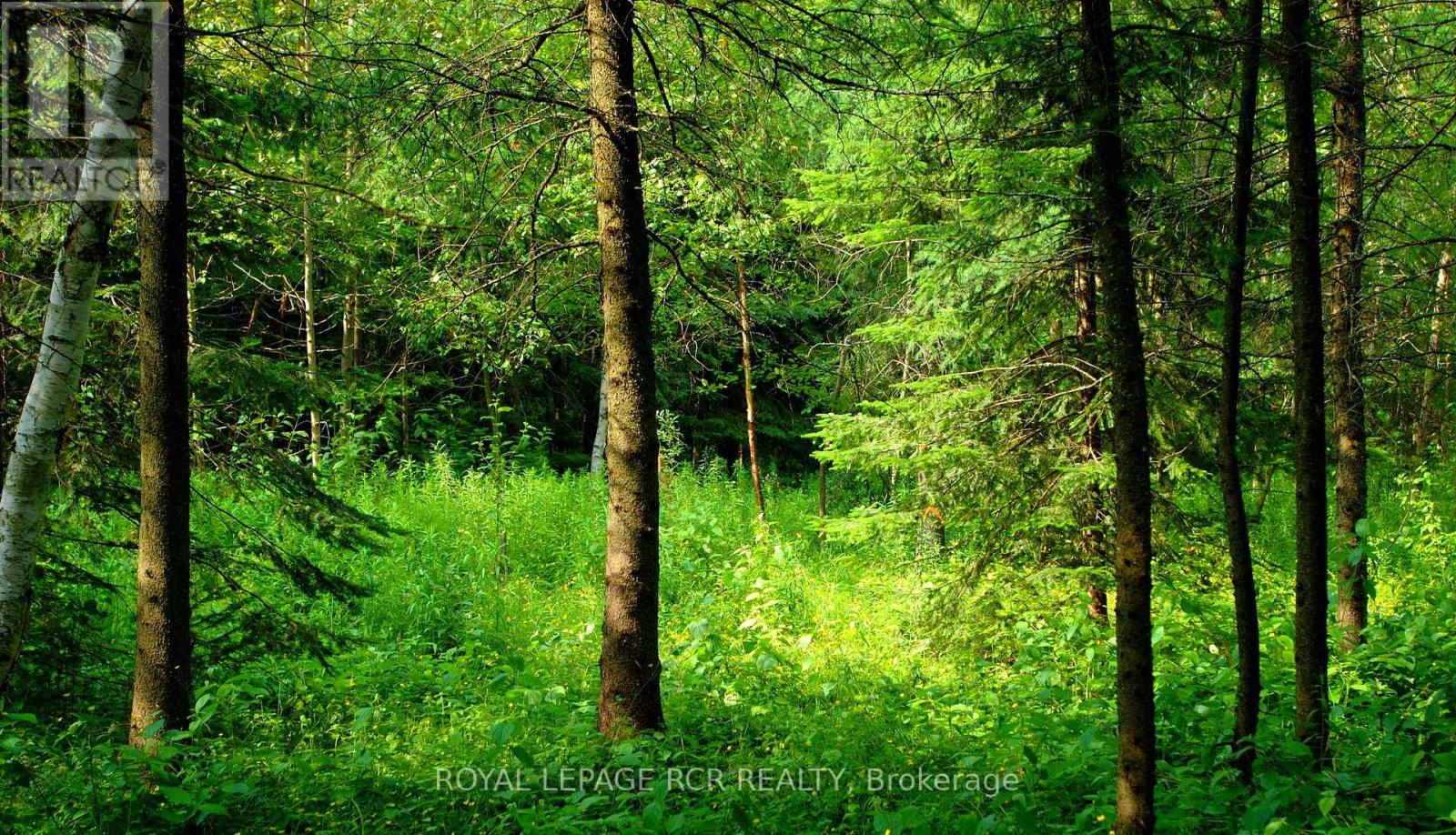 Lot 31 9 County Road, Melancthon, Ontario