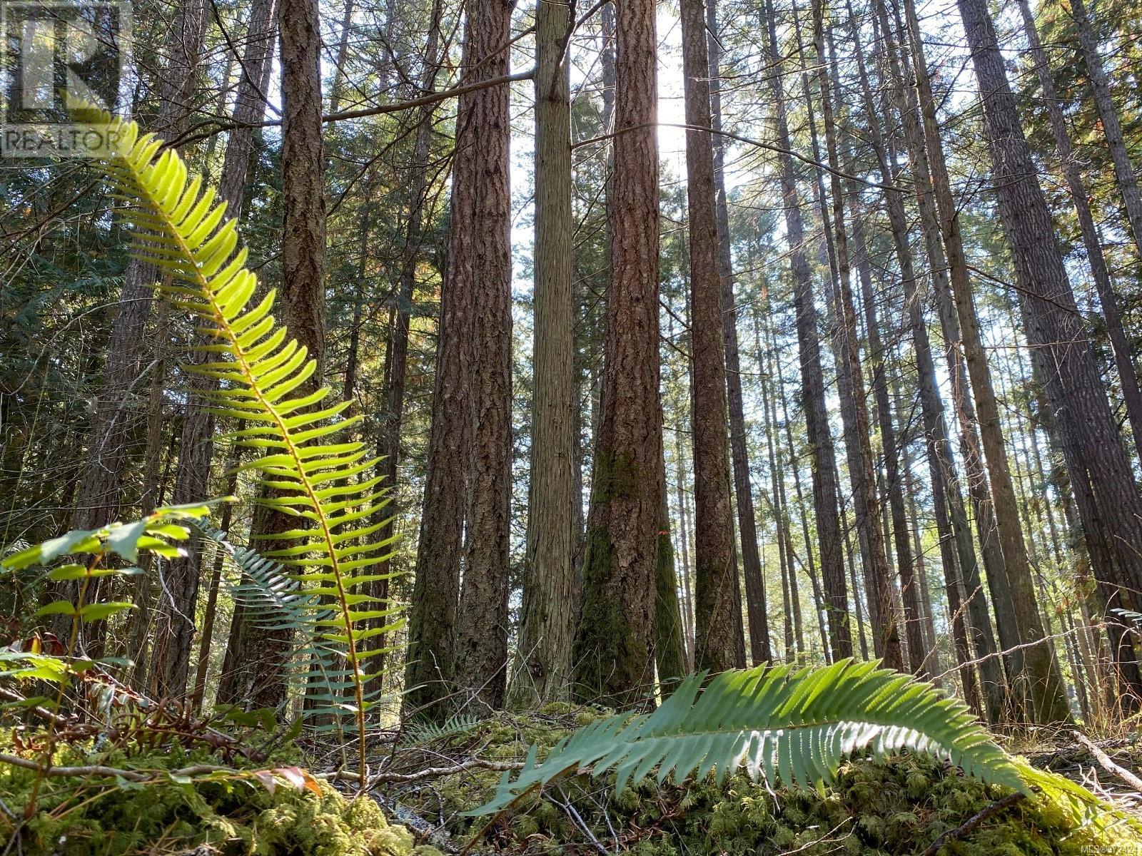 Lt 4 Sitka Grove, Gabriola Island, British Columbia