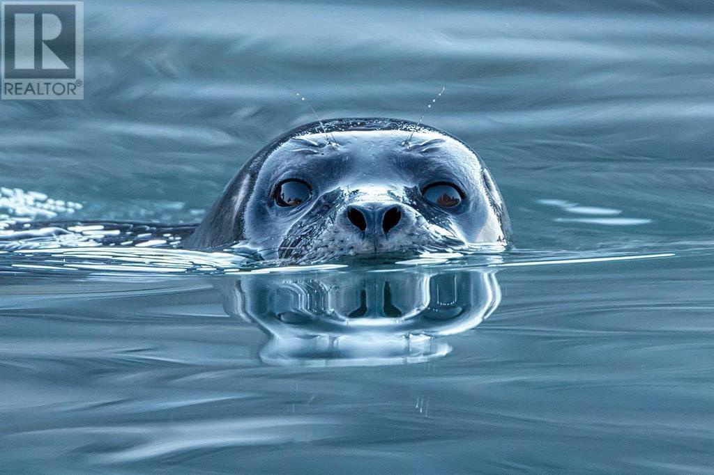 6014 Silverstone Lane, Sechelt, British Columbia