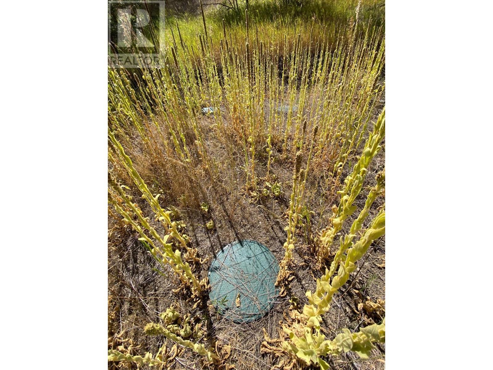 Lot 2 41 Highway, Grand Forks, British Columbia