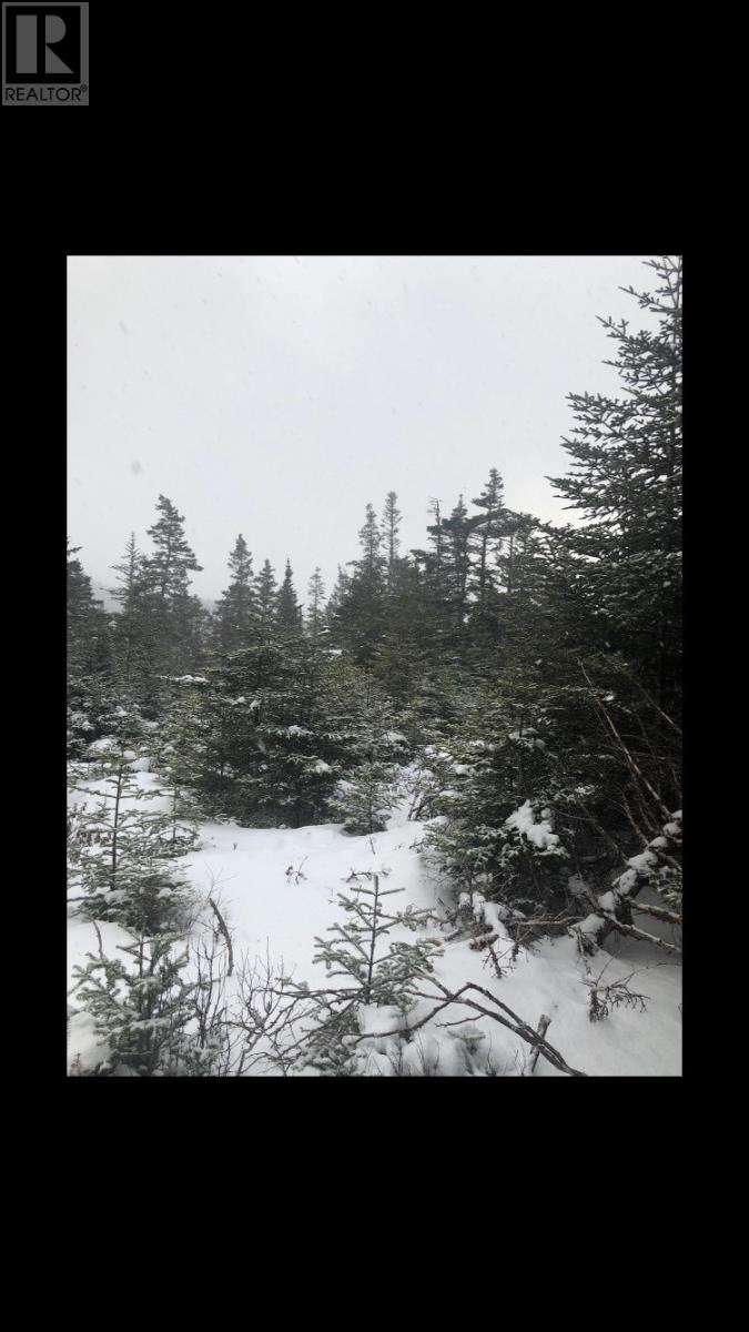 181-535 Fox Harbour Road, Placentia, Newfoundland And Labrador