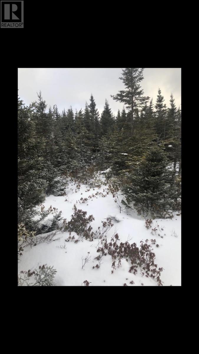 181-535 Fox Harbour Road, Placentia, Newfoundland And Labrador