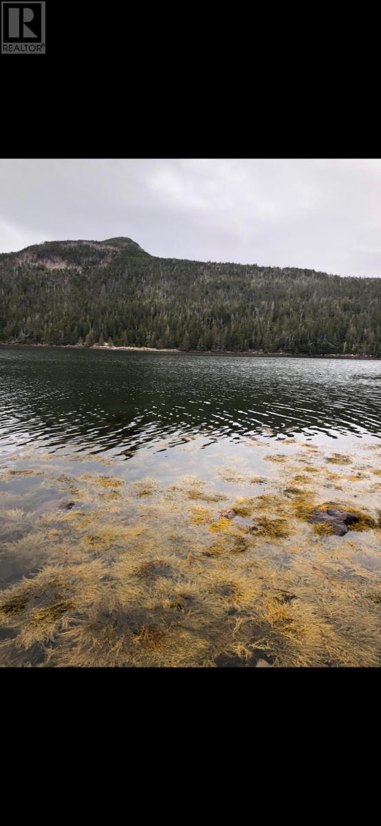 181-535 Fox Harbour Road, Placentia, Newfoundland And Labrador