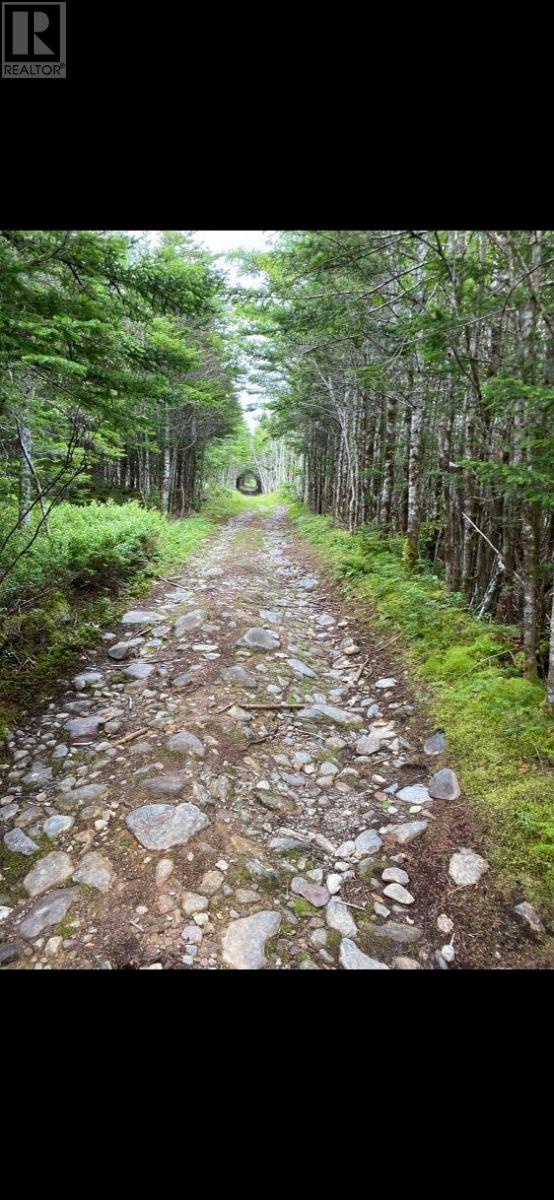 181-535 Fox Harbour Road, Placentia, Newfoundland And Labrador