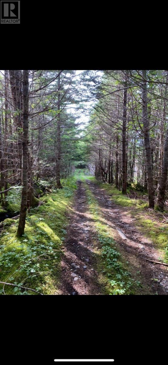 181-535 Fox Harbour Road, Placentia, Newfoundland And Labrador