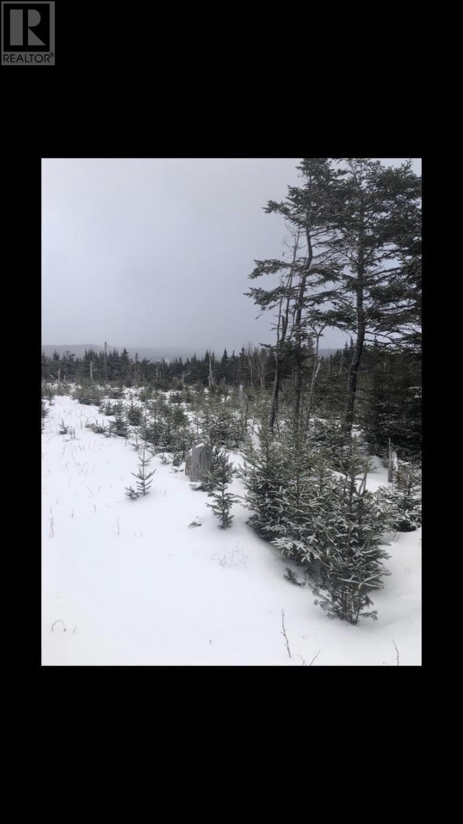 181-535 Fox Harbour Road, Placentia, Newfoundland And Labrador