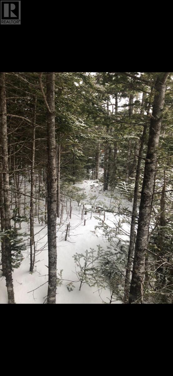 181-535 Fox Harbour Road, Placentia, Newfoundland And Labrador