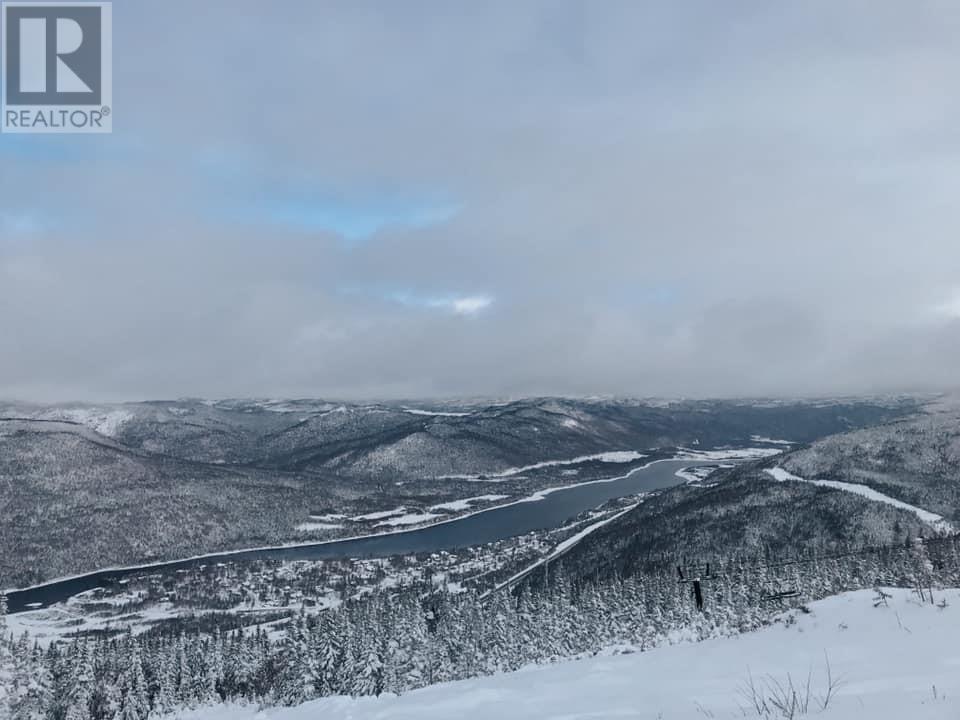 43 Pike Street, Pasadena, Newfoundland And Labrador