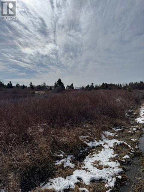 26 Bears Cove Road, Bay Roberts, Newfoundland And Labrador