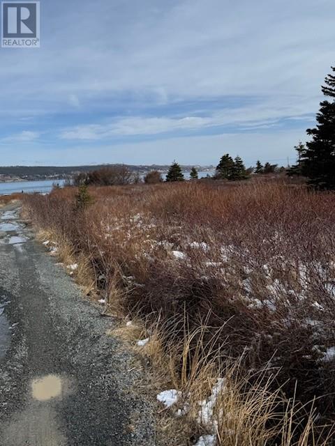 26 Bears Cove Road, Bay Roberts, Newfoundland And Labrador