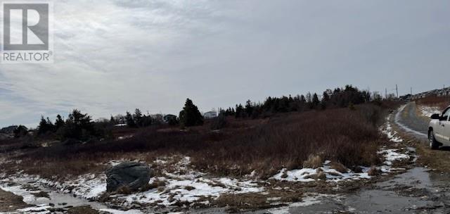 26 Bears Cove Road, Bay Roberts, Newfoundland And Labrador