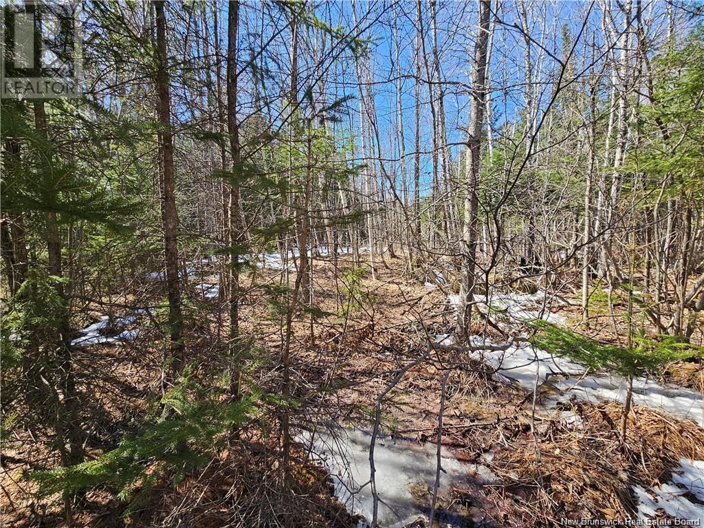 Route 385, Plaster Rock, New Brunswick