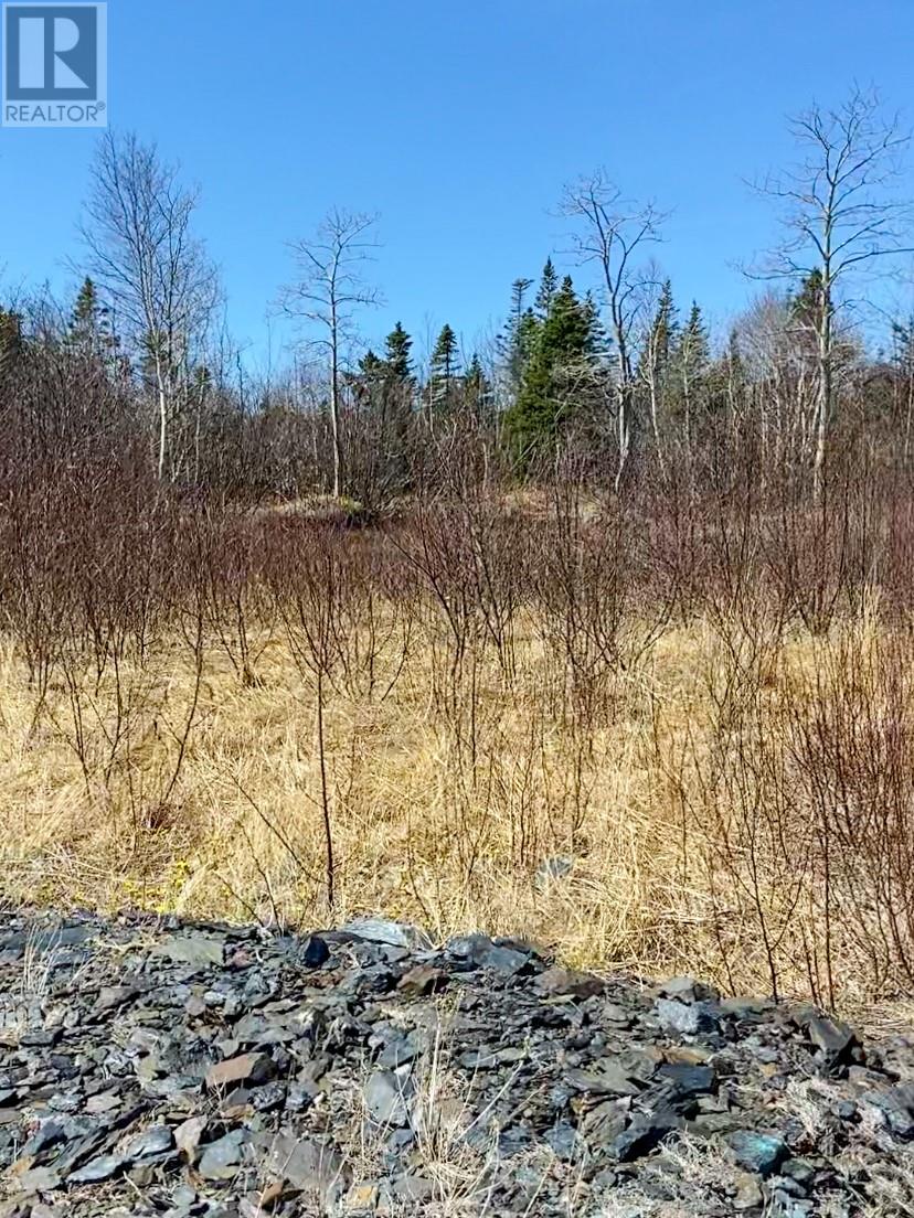 5 A Allens Avenue, Embree, Newfoundland And Labrador