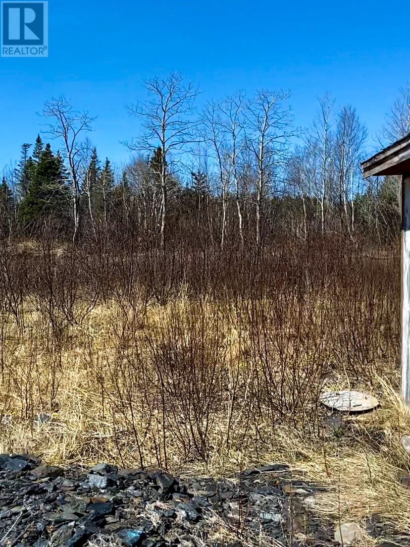 5 A Allens Avenue, Embree, Newfoundland And Labrador