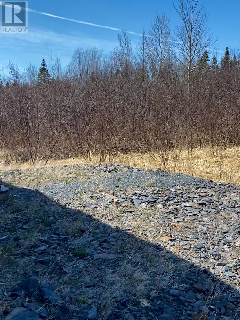 5 A Allens Avenue, Embree, Newfoundland And Labrador