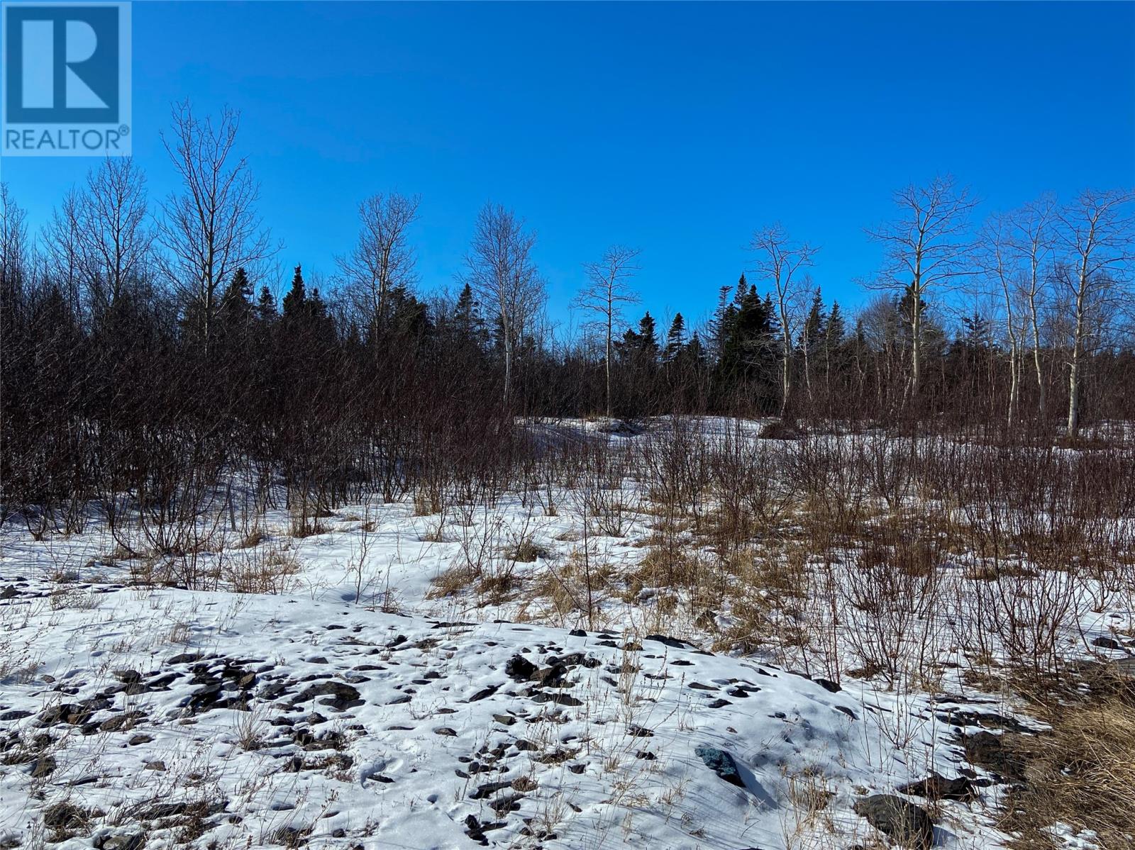 5 A Allens Avenue, Embree, Newfoundland And Labrador