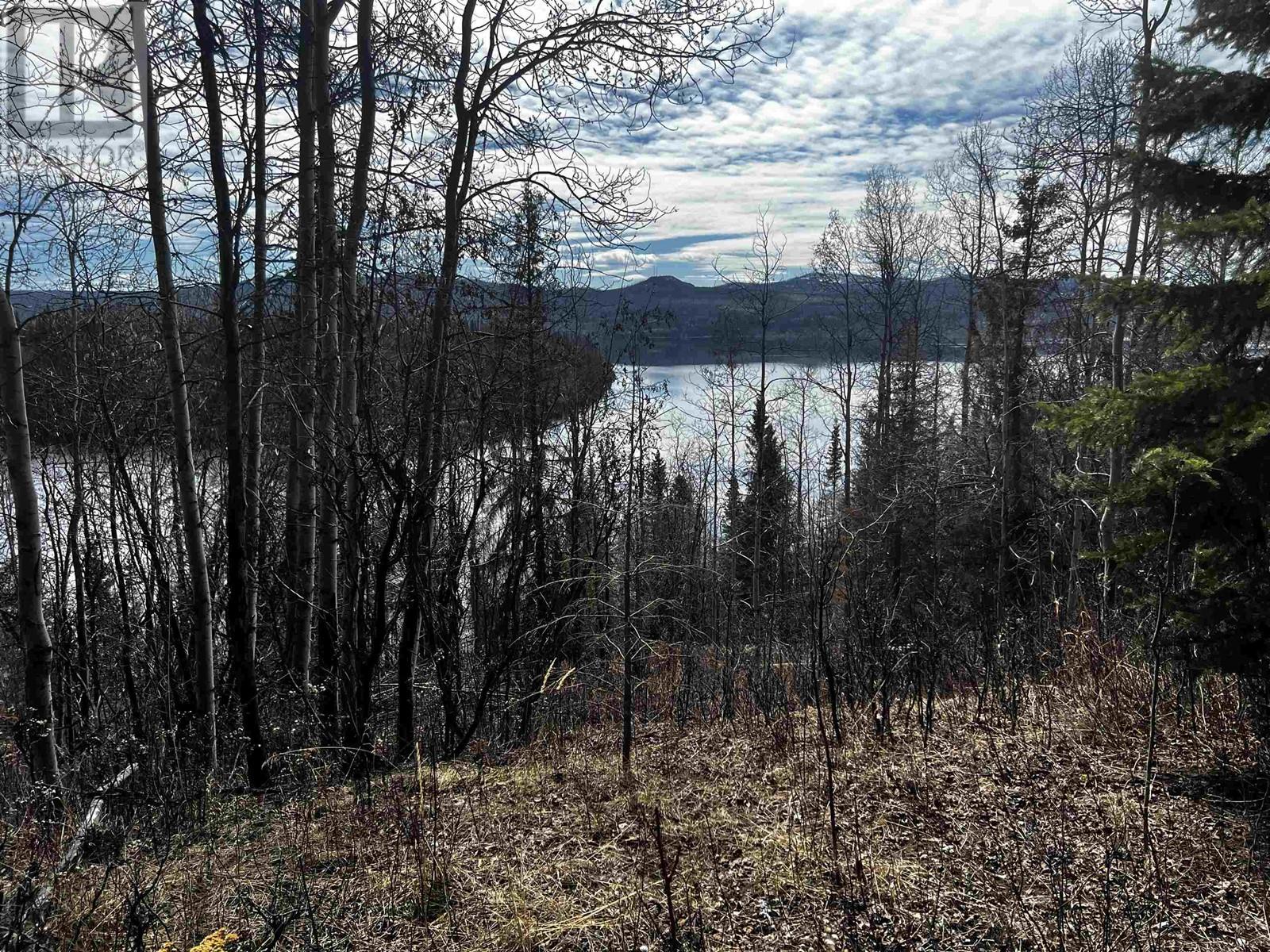 Blk 1 W Colleymount Road, Burns Lake, British Columbia