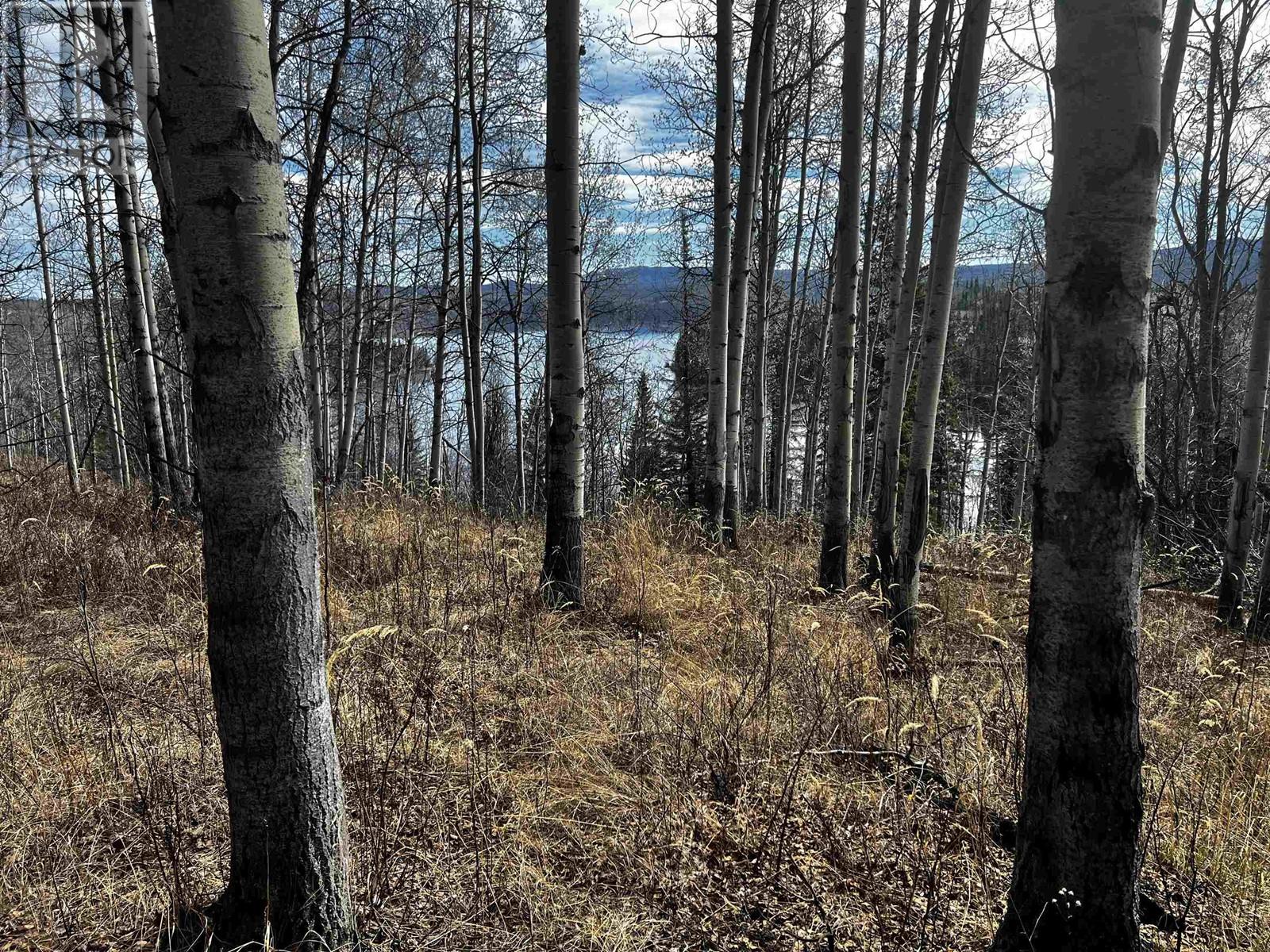 Blk 1 W Colleymount Road, Burns Lake, British Columbia