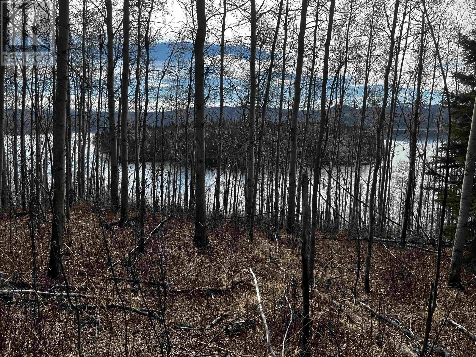 Blk 1 W Colleymount Road, Burns Lake, British Columbia