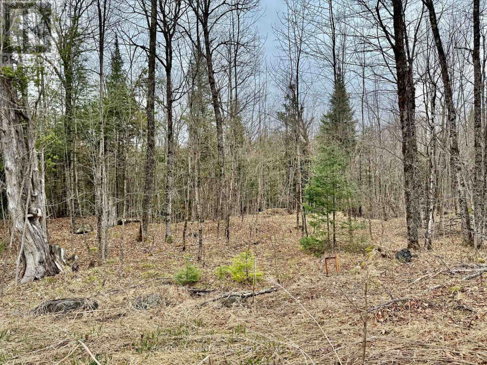 885 Cleveland Road, Tudor And Cashel (tudor Ward), Ontario