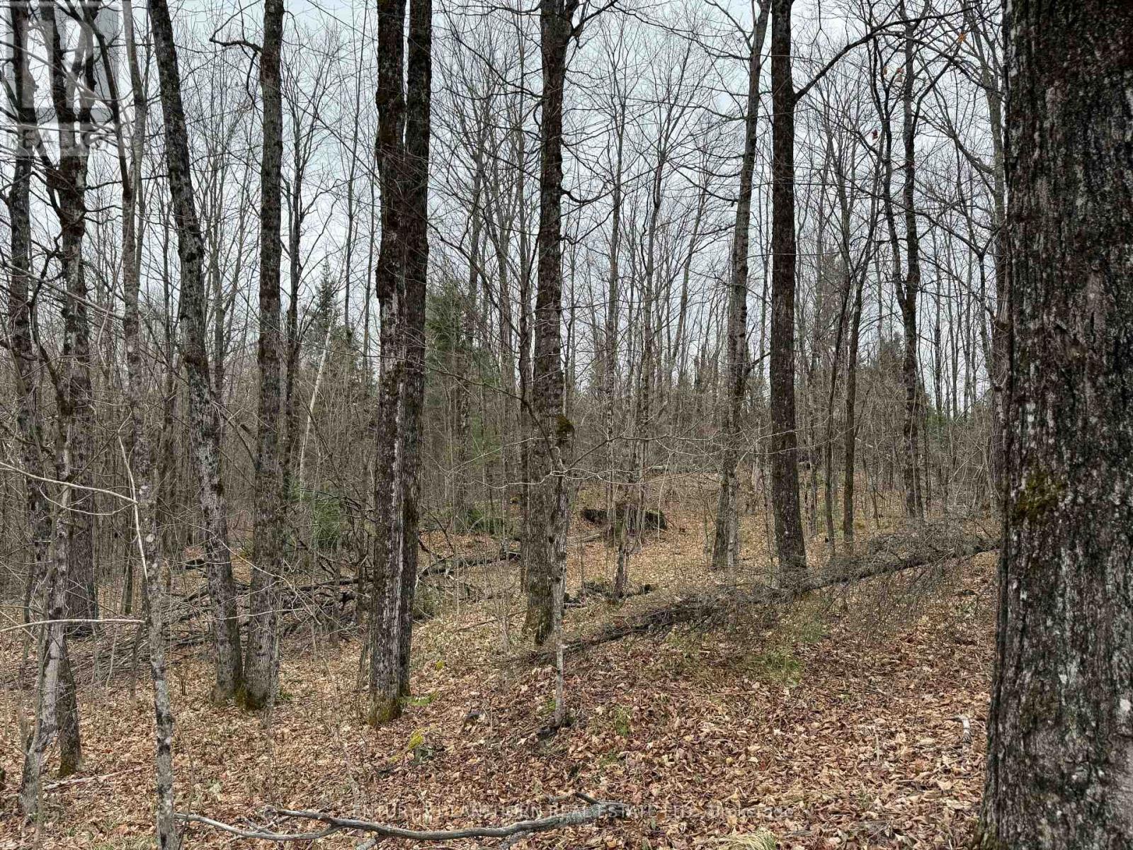 885 Cleveland Road, Tudor And Cashel (tudor Ward), Ontario