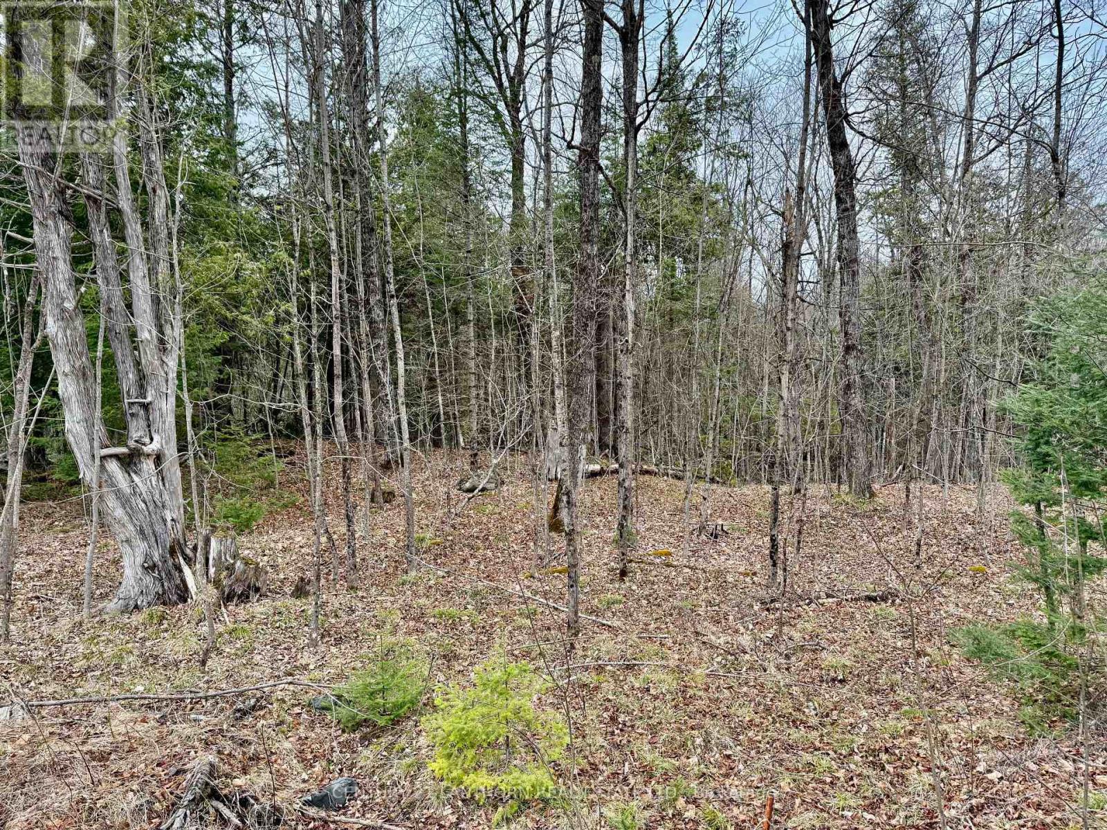 885 Cleveland Road, Tudor And Cashel (tudor Ward), Ontario