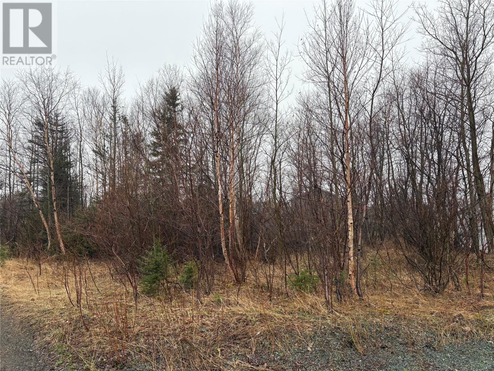 4 Aspen Street, Little Burnt Bay, Newfoundland And Labrador