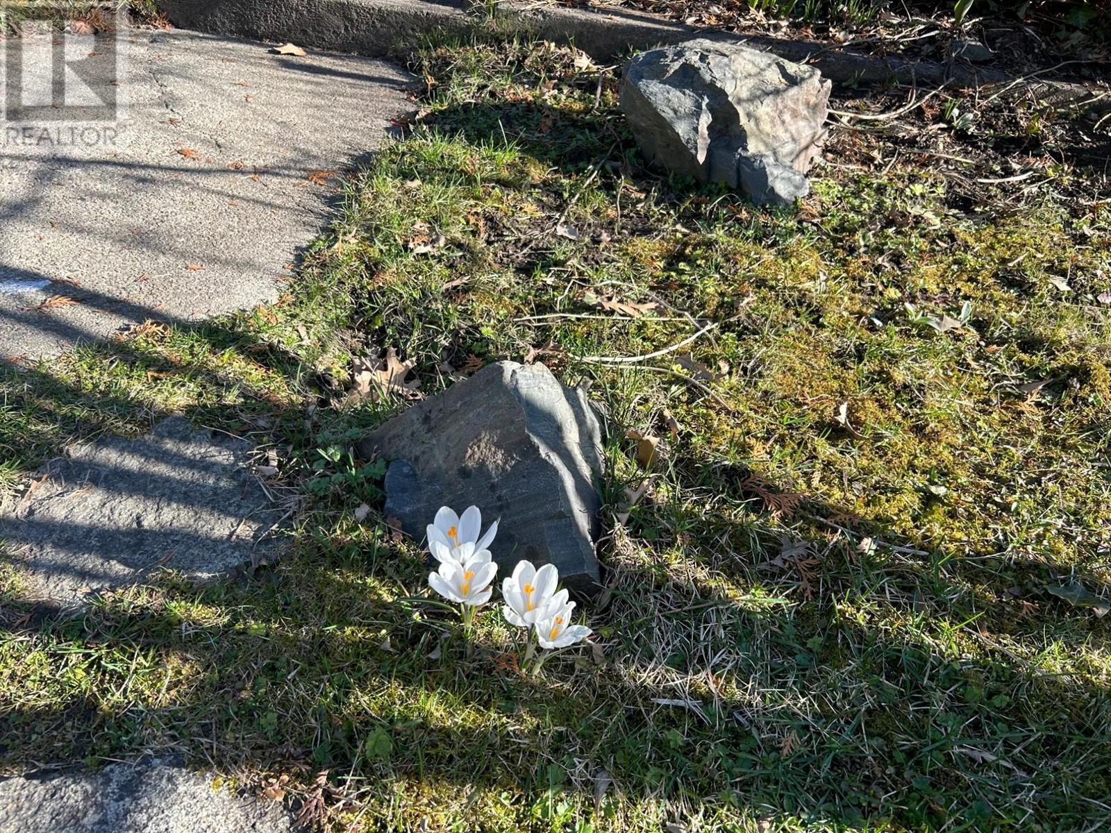 311 Gore Street, Nelson, British Columbia