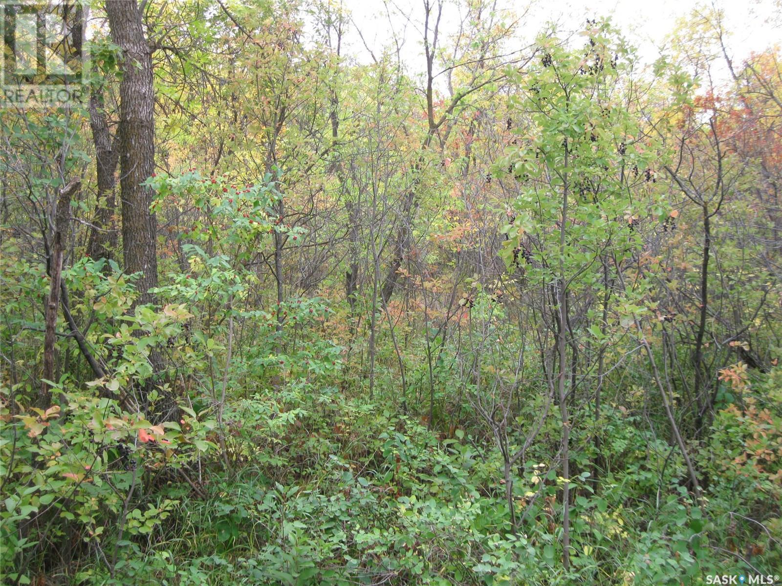 9 And 11 Qu'appelle Park, B-say-tah, Saskatchewan