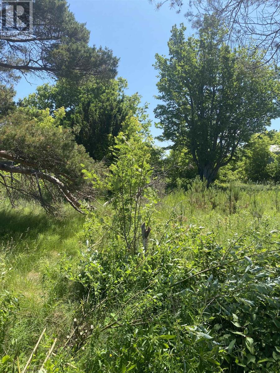 381 Rte 14, Coleman, Prince Edward Island