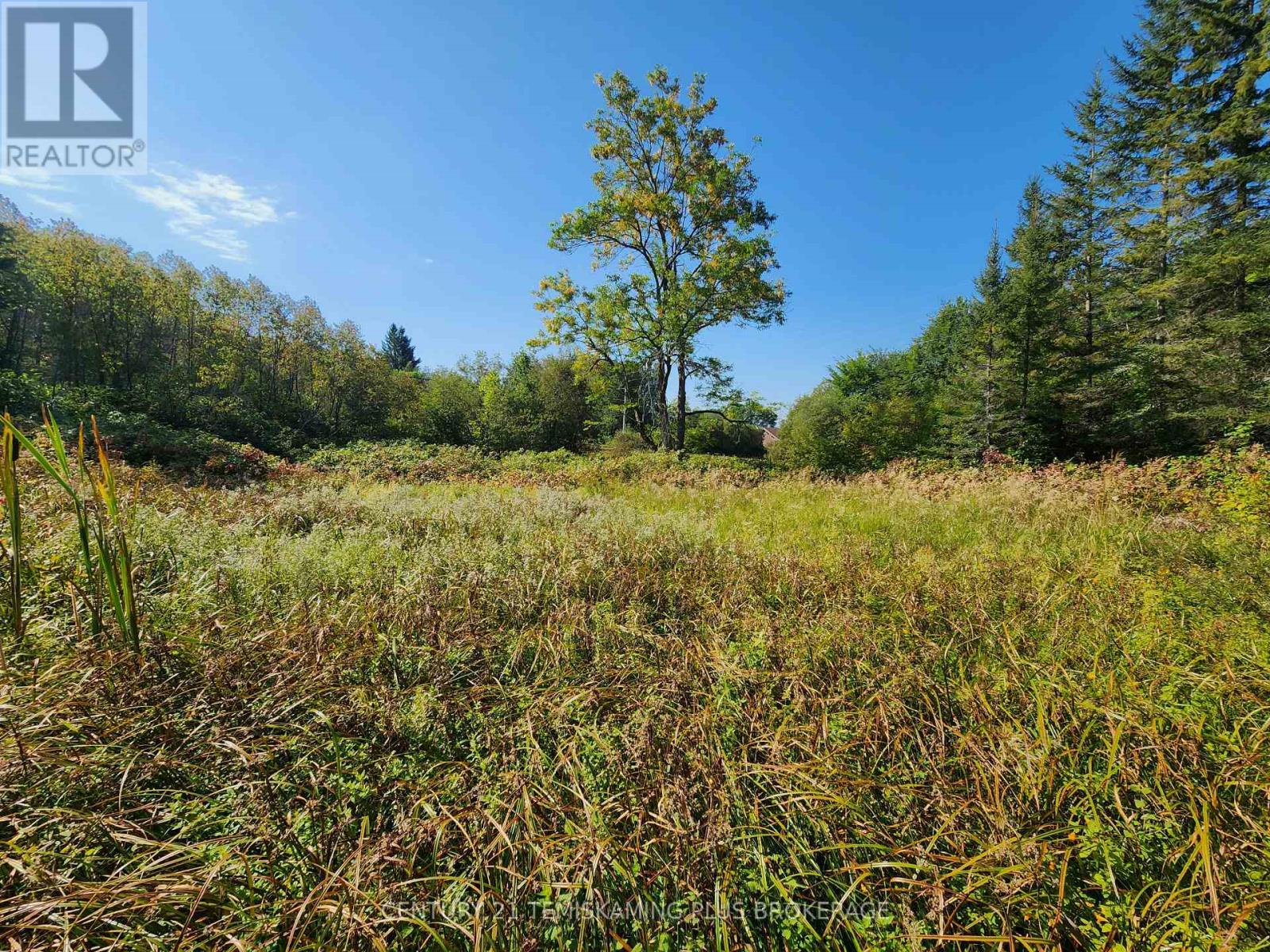 Lt 7-9 Main Street, Charlton And Dack, Ontario