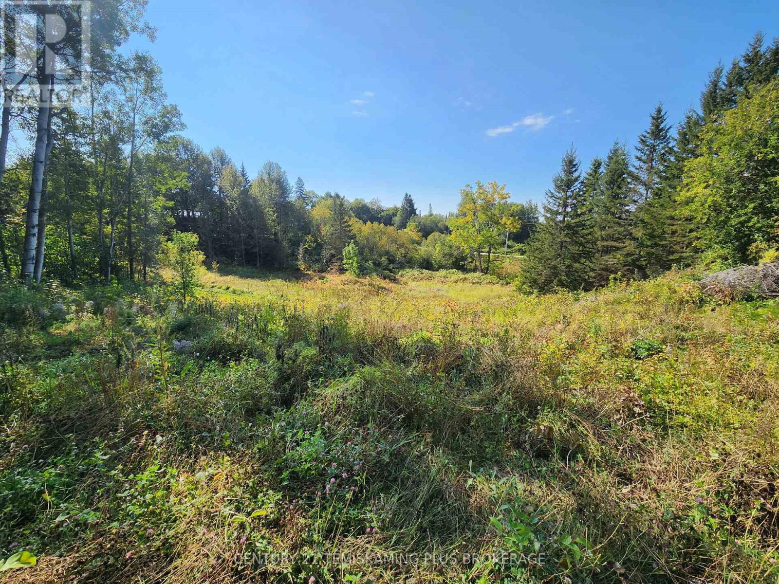 Lt 7-9 Main Street, Charlton And Dack, Ontario