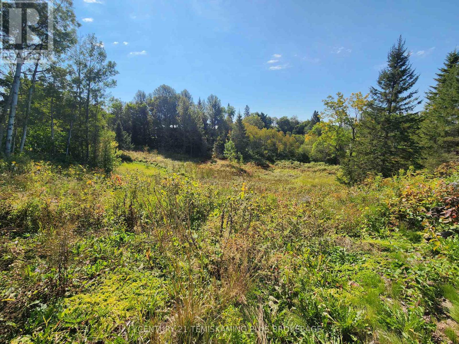 Lt 7-9 Main Street, Charlton And Dack, Ontario