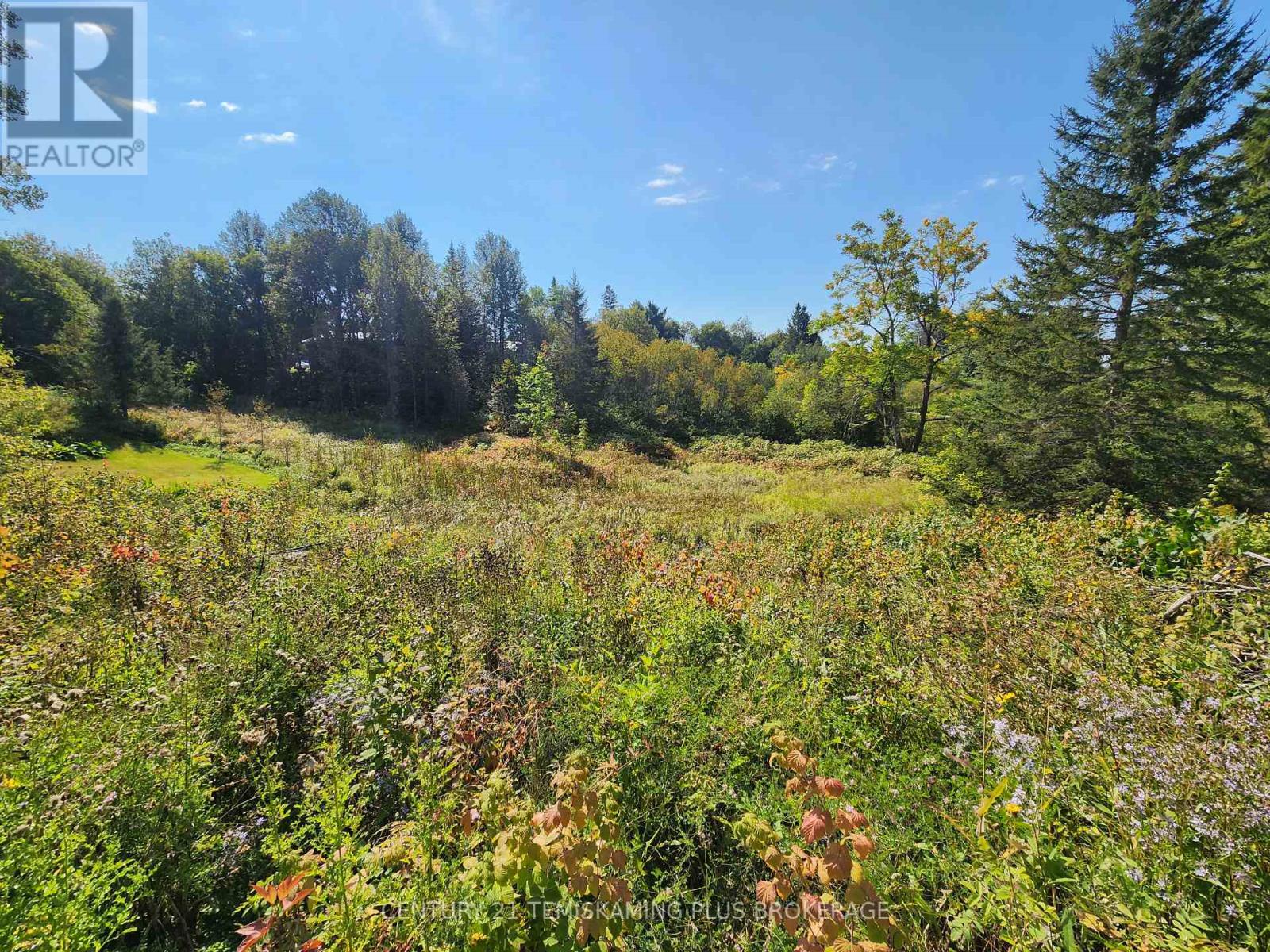 Lt 7-9 Main Street, Charlton And Dack, Ontario