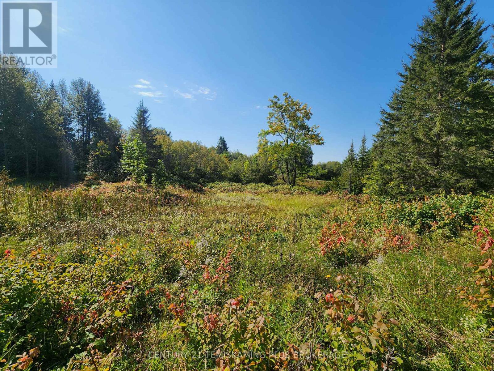 Lt 7-9 Main Street, Charlton And Dack, Ontario