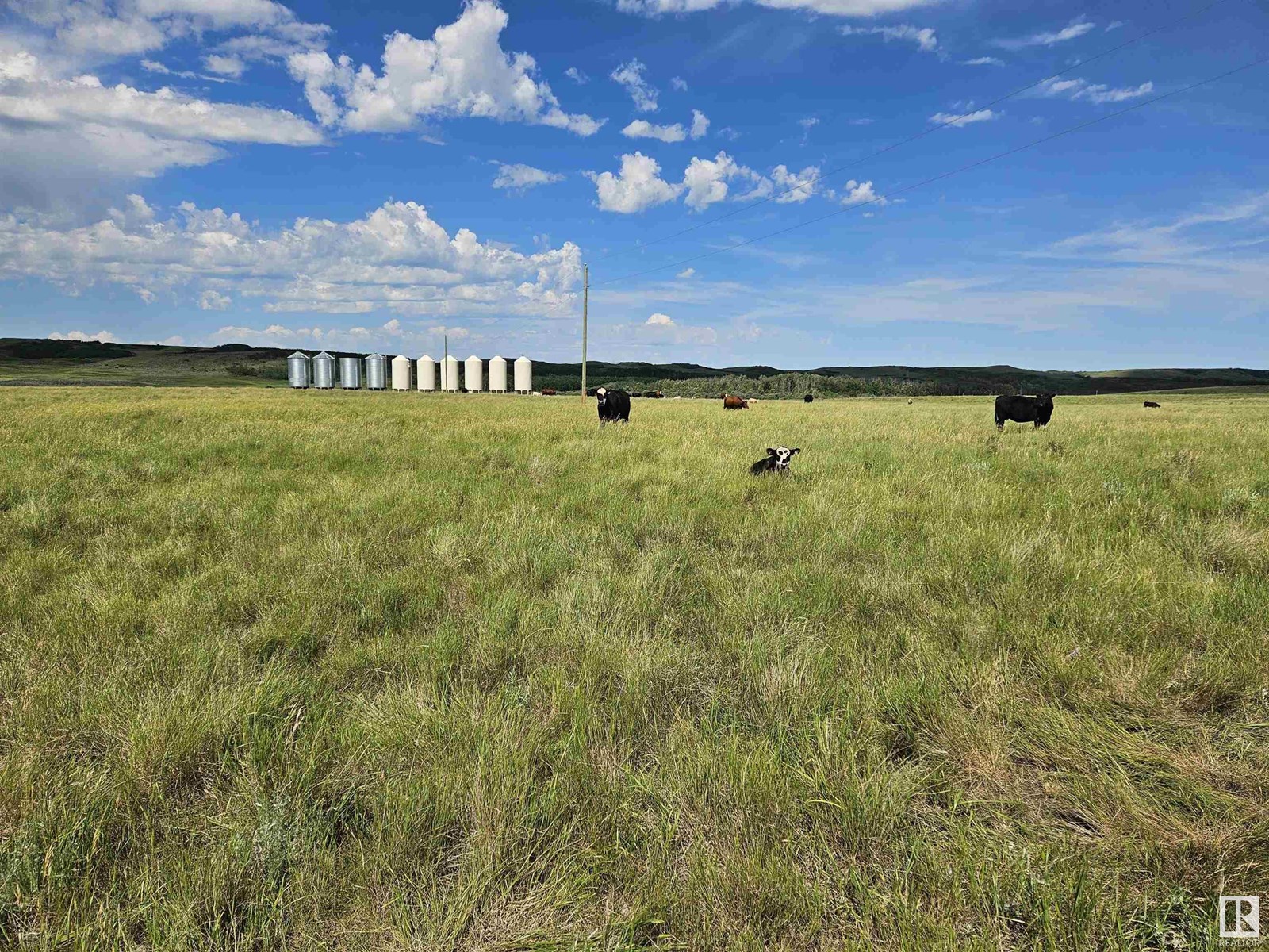 Nw-36-41-10-w4, Rural Flagstaff County, Alberta