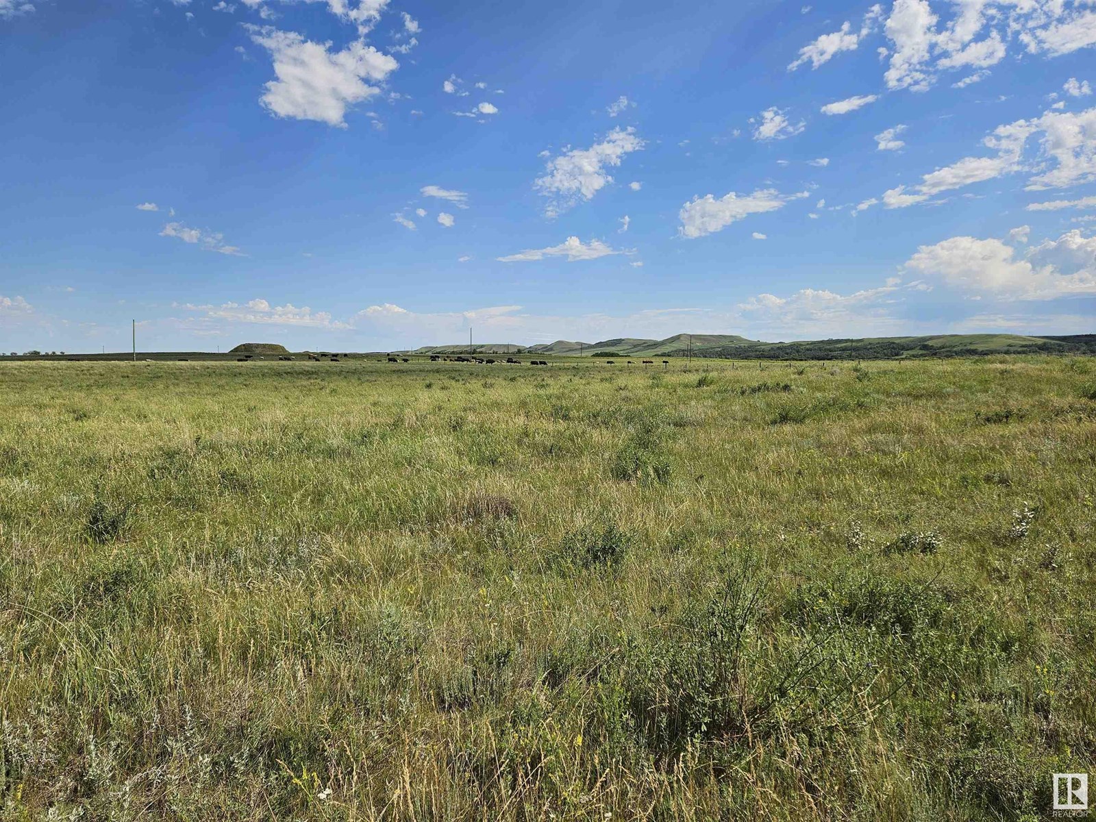 Nw-36-41-10-w4, Rural Flagstaff County, Alberta