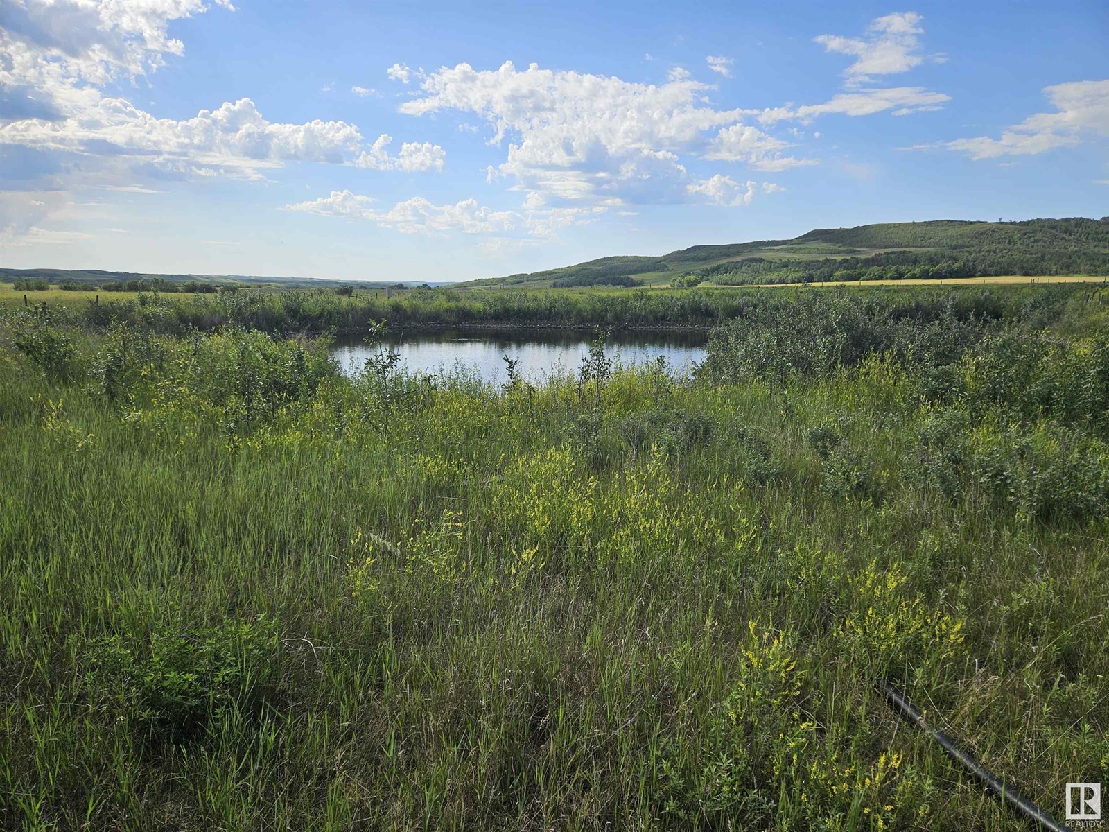 Nw-36-41-10-w4, Rural Flagstaff County, Alberta