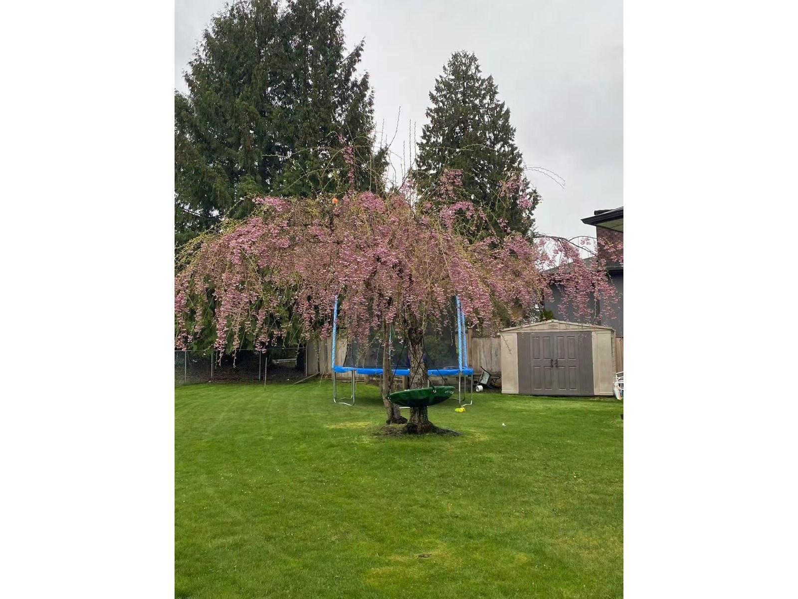 14920 Kew Drive, Surrey, British Columbia