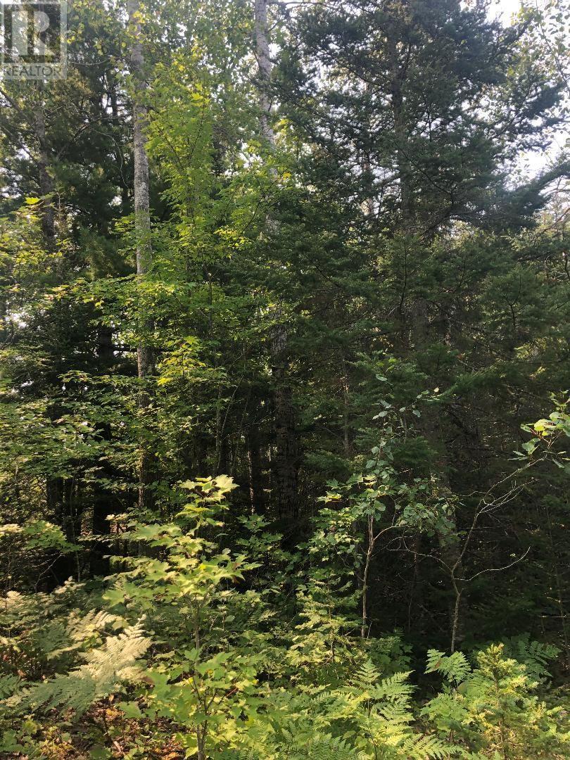 . Lt 9 Rcp H783; Huron Shores, Huron Shores, Ontario