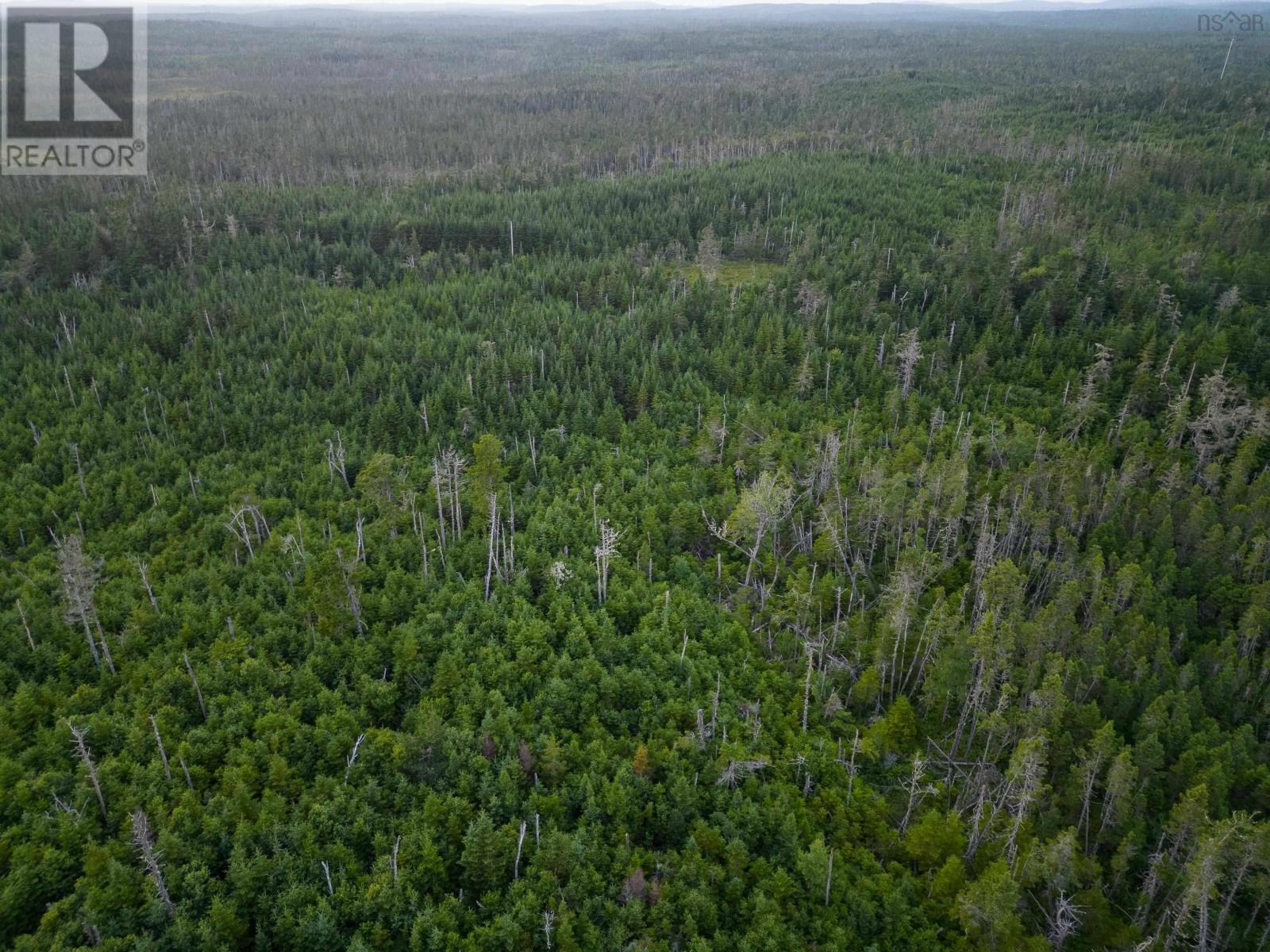 Lot 4 Conrod Beach Road, Lower East Chezzetcook, Nova Scotia