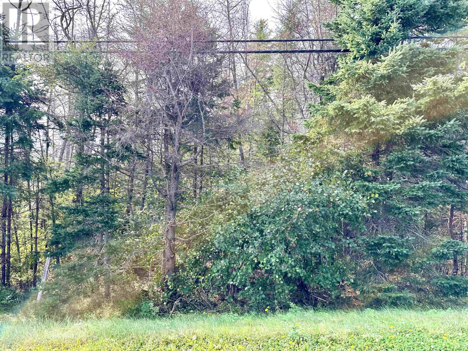 Cape Bear Road, Murray Harbour, Prince Edward Island