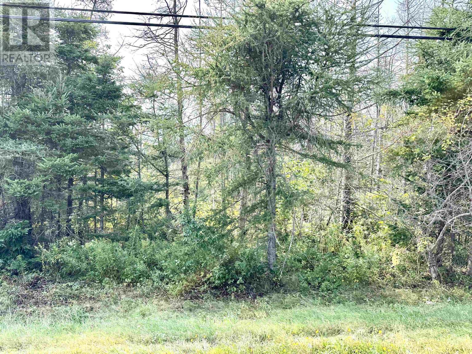 Cape Bear Road, Murray Harbour, Prince Edward Island