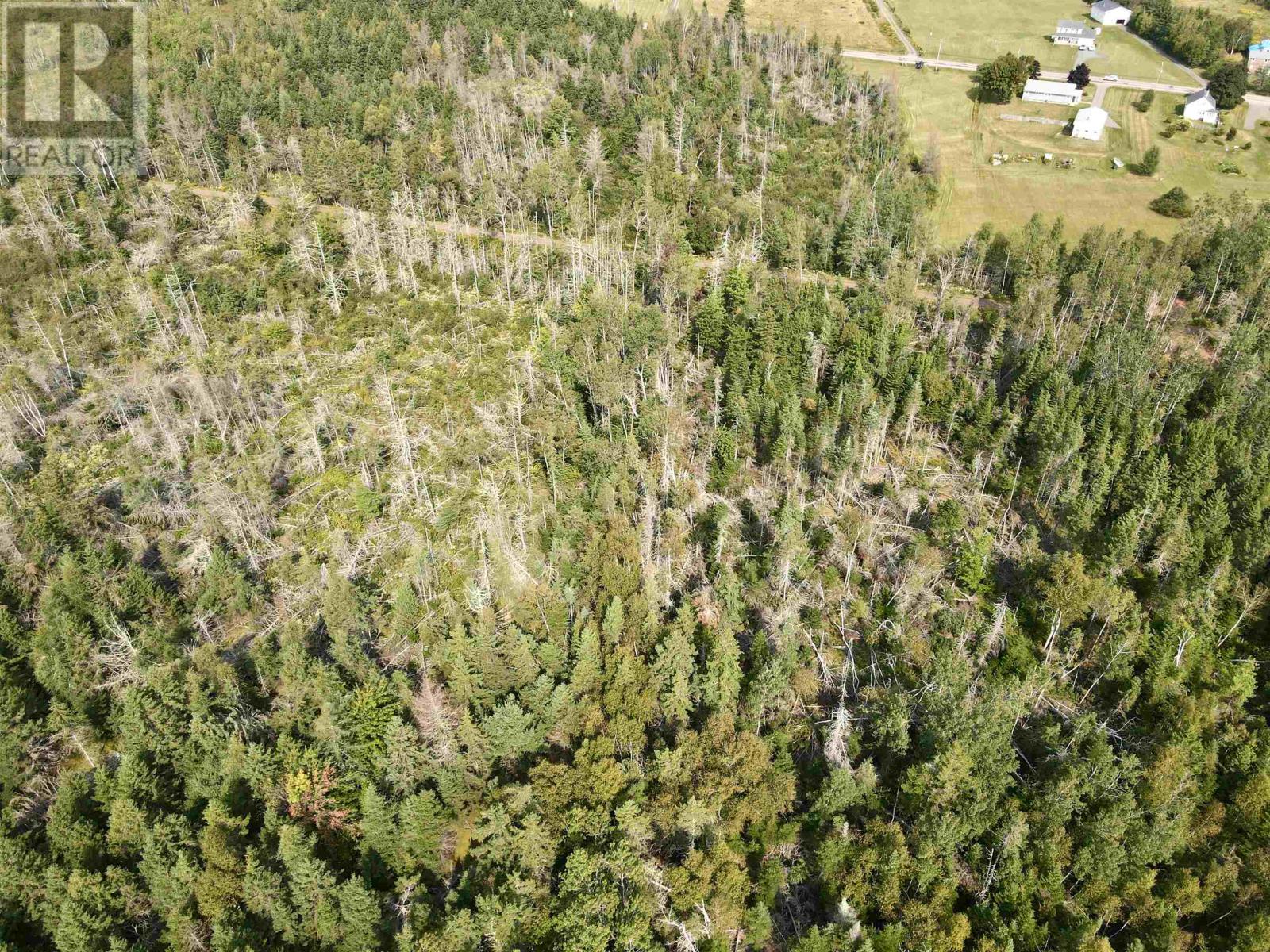 Cape Bear Road, Murray Harbour, Prince Edward Island