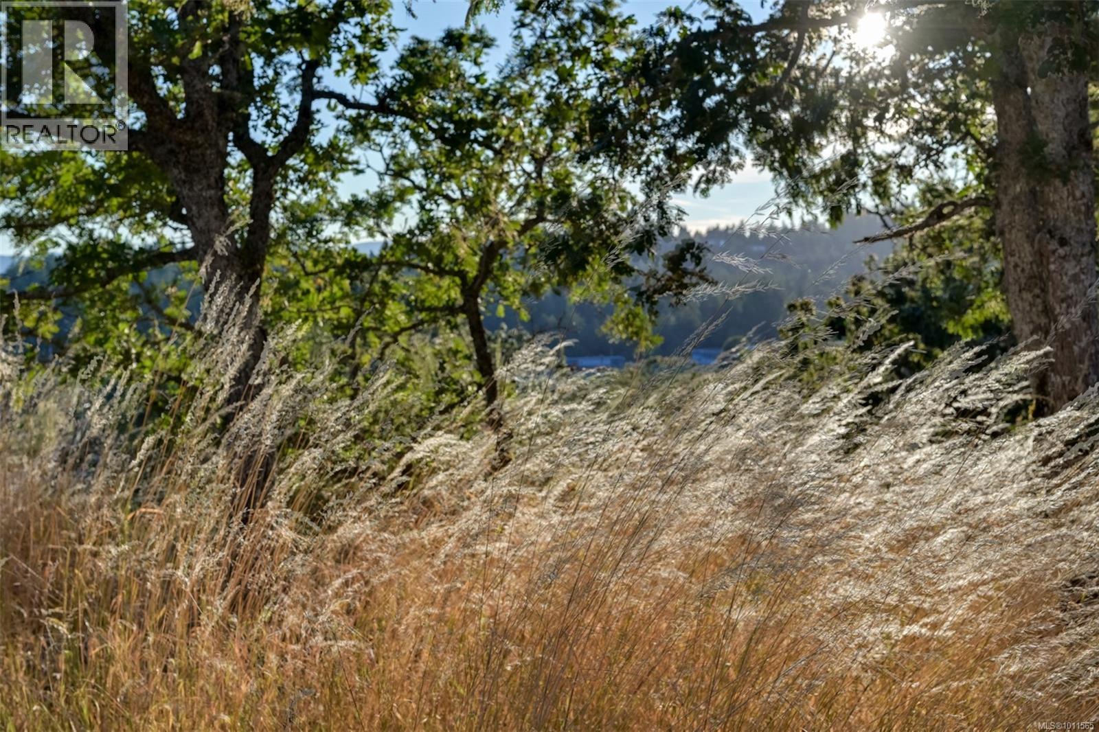 4589 Blenkinsop Rd, Saanich, British Columbia