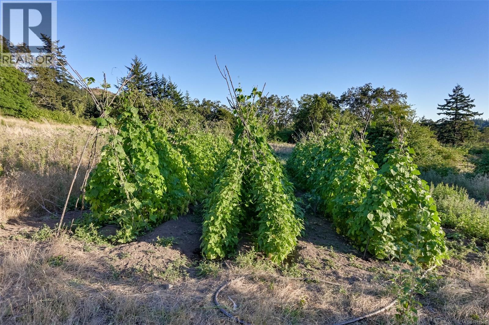 4589 Blenkinsop Rd, Saanich, British Columbia